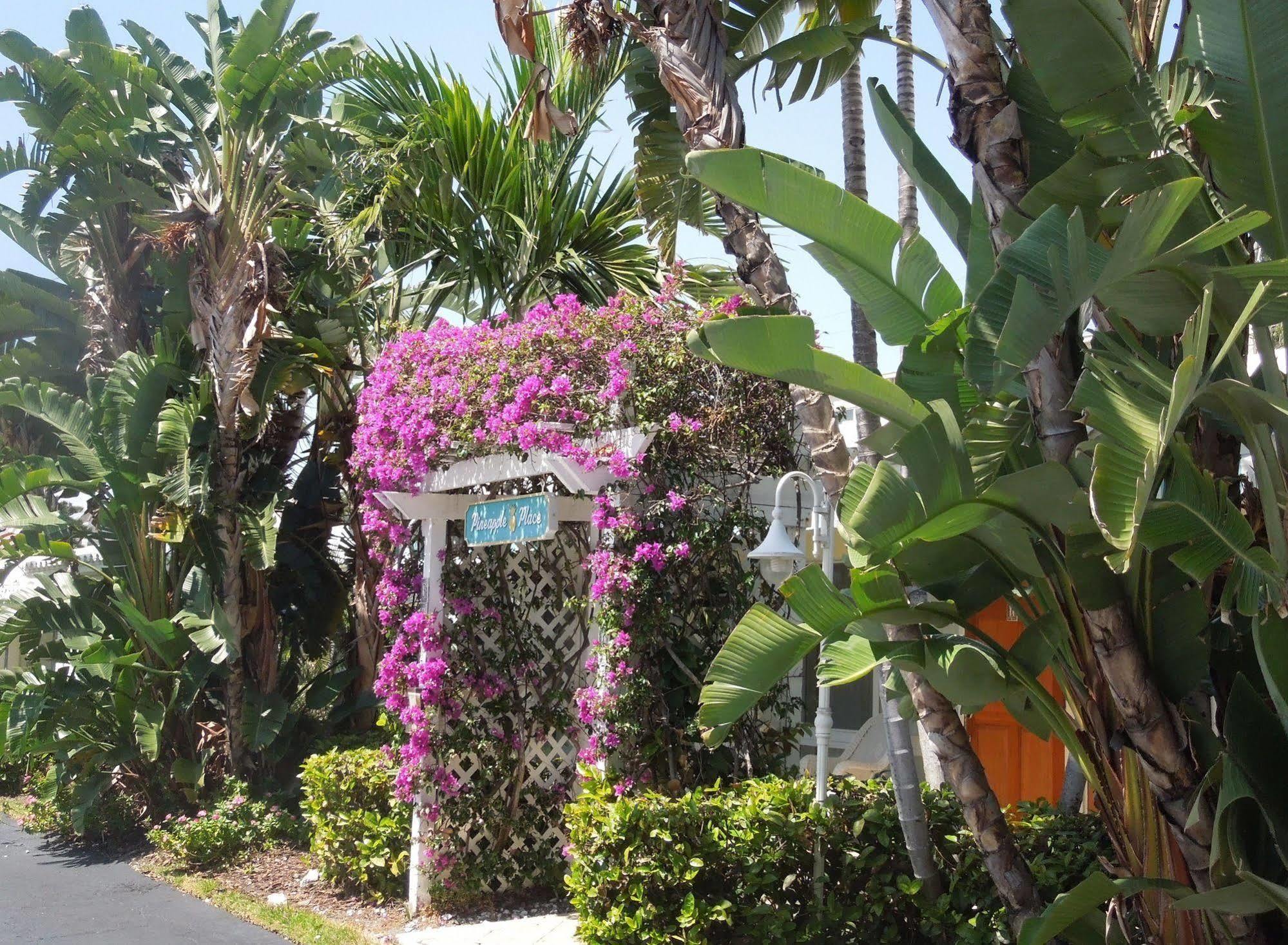 Pineapple Place Lejlighed Pompano Beach Eksteriør billede