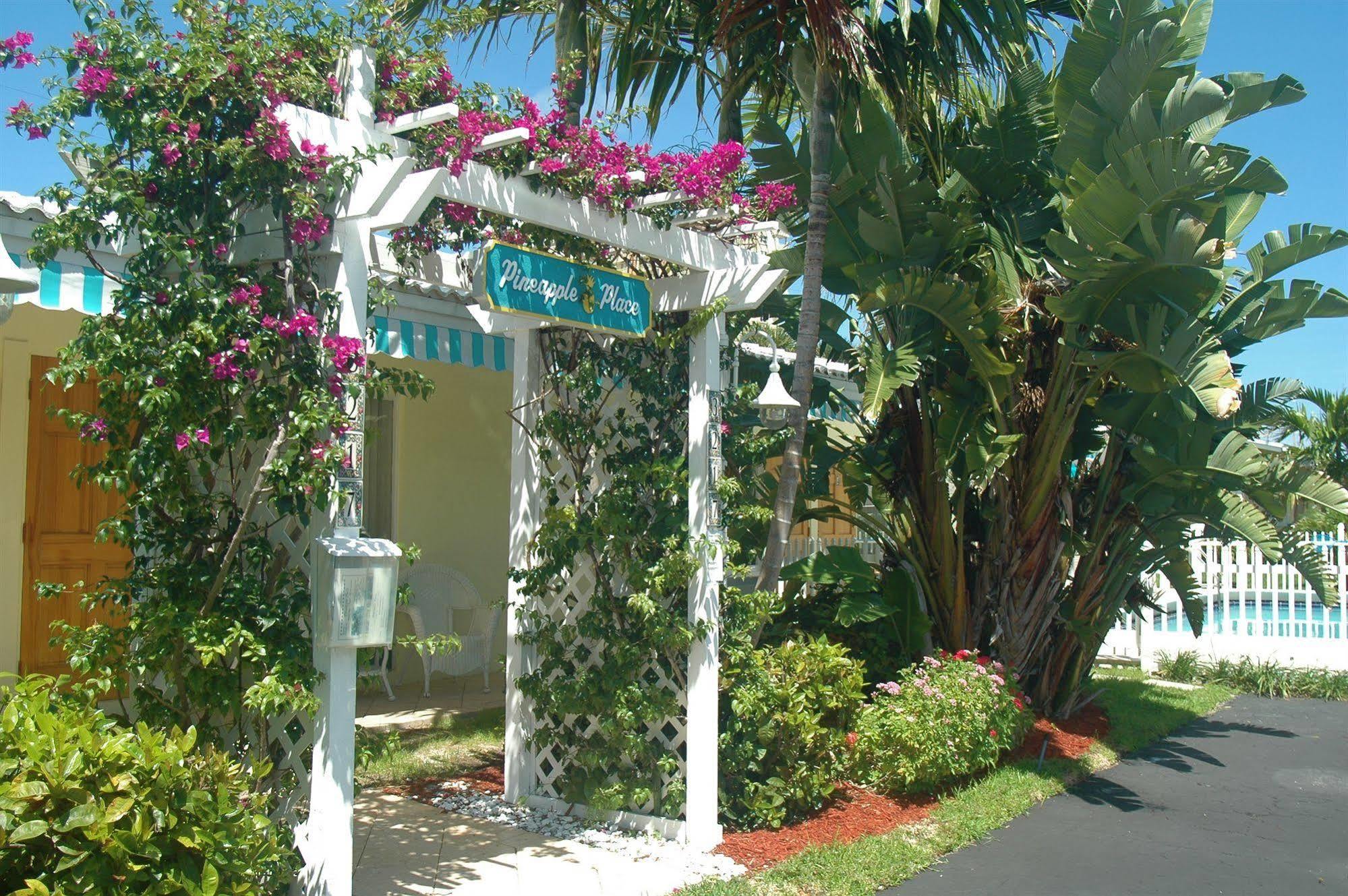 Pineapple Place Lejlighed Pompano Beach Eksteriør billede