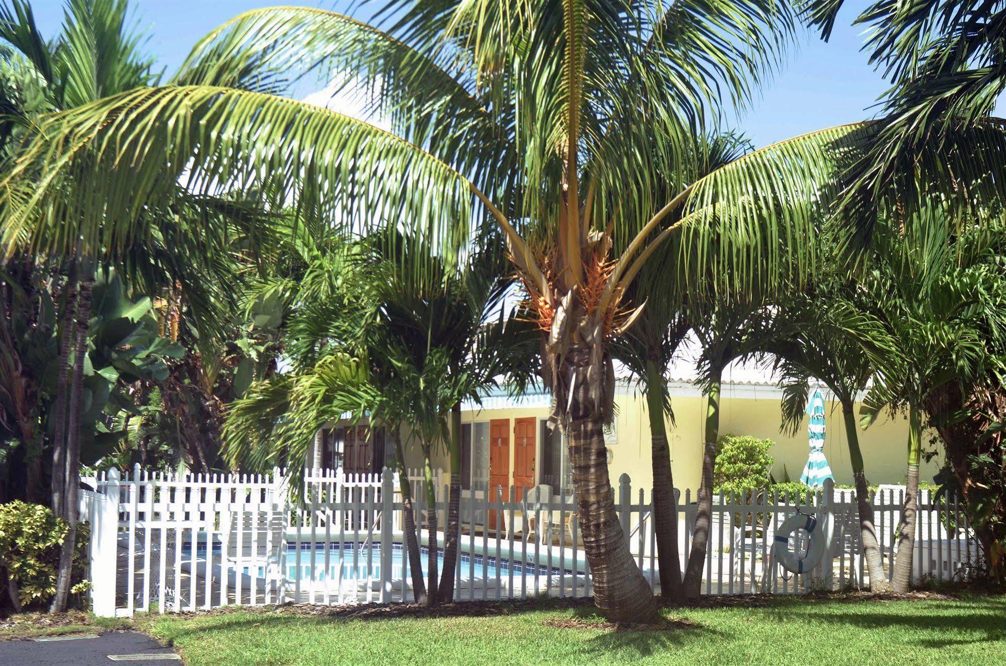 Pineapple Place Lejlighed Pompano Beach Eksteriør billede
